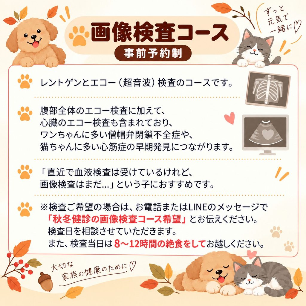 犬・猫の秋冬健康診断 レントゲン・超音波検査コースのご案内