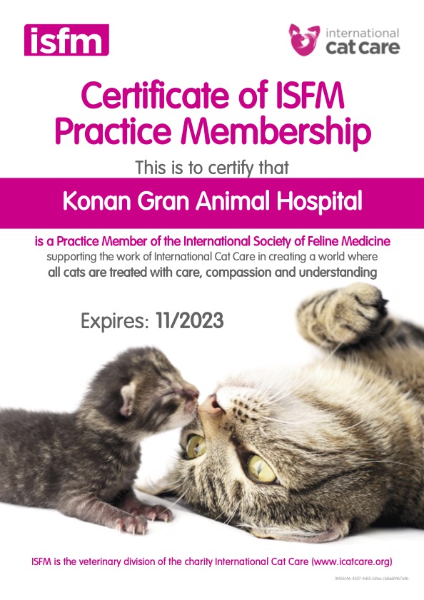 cat friendly clinic certificate2