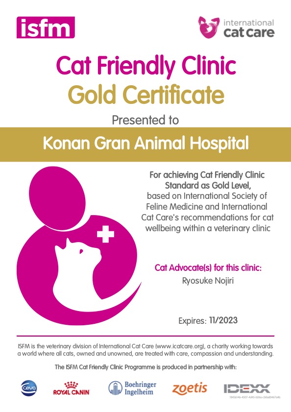 cat friendly clinic certificate1